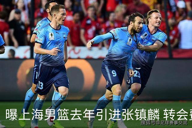 曝上海男篮去年引进张镇麟 转会费投入超5000万