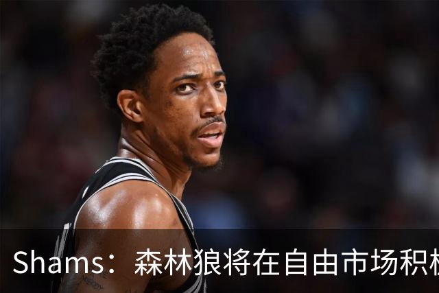 Shams：森林狼将在自由市场积极补强4号位 但他们只能提供底薪